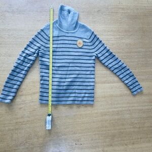 Wool Striped Gray Turtleneck Sweater